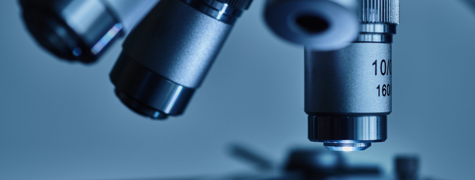 Terpene Profiling